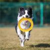Agility Exercise Game - Interactive Dog Training Ring for Small to Large Dogs (Yellow)