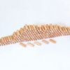 Wood Dowels Material φ 6 mm
