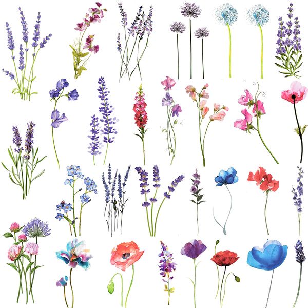 COKTAK 12 Sheets Watercolor Purple Violet Lavender Temporary Tattoos For Women Tiny Wild Plant Sweet Pea Morning Glory Flowers Fake Tattoos Temporary For Girl Kids Hand Face Ankle Neck Tatoos Stickers