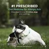 Apoquel (oclacitinib Tablet) for Dogs, 16 mg, 30 Tablets