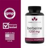 Berberine 1200 mg 60 capsules- Enhances immune function and promotes cholesterol