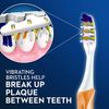Oral-B Pulsar Expert Clean Battery Toothbrush, Medium, 2 Count