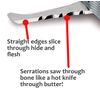 NEW ARCHERY PRODUCTS Spitfire Edge 100 Grain 1.75" Cutting Diameter 3-Blade Durable Precise Rear-Deploying Bow Hunting Broadhead - 3 Pack