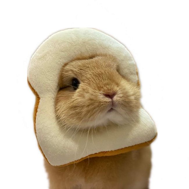 Rabbit Collar Bread Slice Collar Toast Bread-Shaped Rabbit Headdress, Pet Cosplay Makeup Cap, Bunny Cartoon Costume, Dressing Up Props, Small Animal Headgear (8''- 9'' Head Girth)