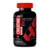 muscle growth - CREATINE TRI-PHASE - creatine caps - 1 Bottle (90 Tablets)