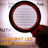 30x Handheld Lighted Magnifying Glass