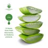 Aloderma 99% Organic Aloe Vera Gel for Skin Made within 12 Hours of Harvest, Natural Hydrating Aloe Gel for Face & Body, Soothing Pure Aloe Vera Gel for Sunburn Relief, Moisturizing - Non Sticky Gel