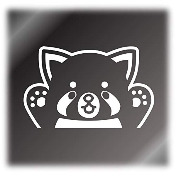 Red Panda Threatening Pose Cutting Sticker Decal (White, Lesser Only)