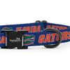 Florida Gators Adjustable Collars and Leashes | Officially Licensed | Fits All Pets! (Medium Collar)