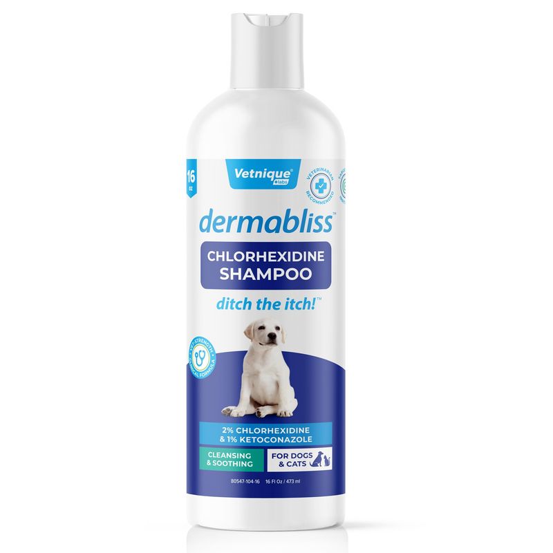 Image result for Vetnique Dermabliss Chlorhexidine for Dogs Skin Health - Antibacterial ...