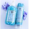 Color Edge Curl Cream - Classic - 6oz.