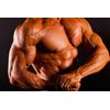 pre workout supplement - NITRIC OXIDE 3600MG - muscle boosting pills 2B