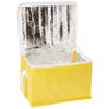 eBuyGB Lunch BBQ Camping Can Cooler Picnic Bag Box, Polyester, Yellow