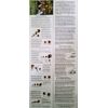 Pro-Tick Remedy 1 Pack Tick Removal Tool for Dogs Cats Horses Humans and Pets - Includes 5X Magnifier Tick ID Card and Tick Remover Pamphlet