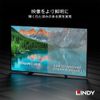 LINDY 0.5m BLACK LINE 8K HDMI Type-A Cable (Model Number: 36770)