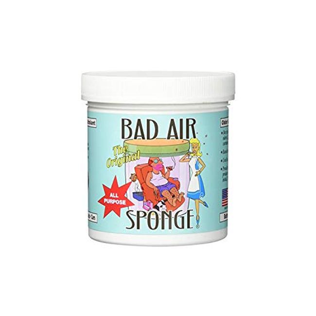 Bad Air Sponge 2lb Container