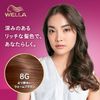 Wellaton 2+1 Milky EX 8G Brighter Warm Brown (Quasi-Drug) (Fashionable Gray Hair Dye)