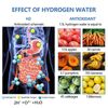 Water Panda Hydrogen Water Bottle GeneratorRechargeable 3Min Quick Electrolysis 