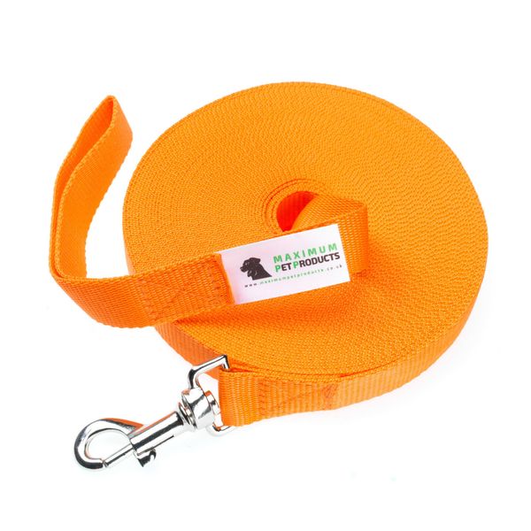 Dog Lead For Training, Tracking & Obedience Recall 100ft 30 Meter Orange