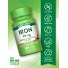 Iron 65 mg | 120 Tablets | Non-GMO Supplement | by Nature's Truth