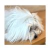 Dog Hair Clip Diamond Pack of 6 Black 18