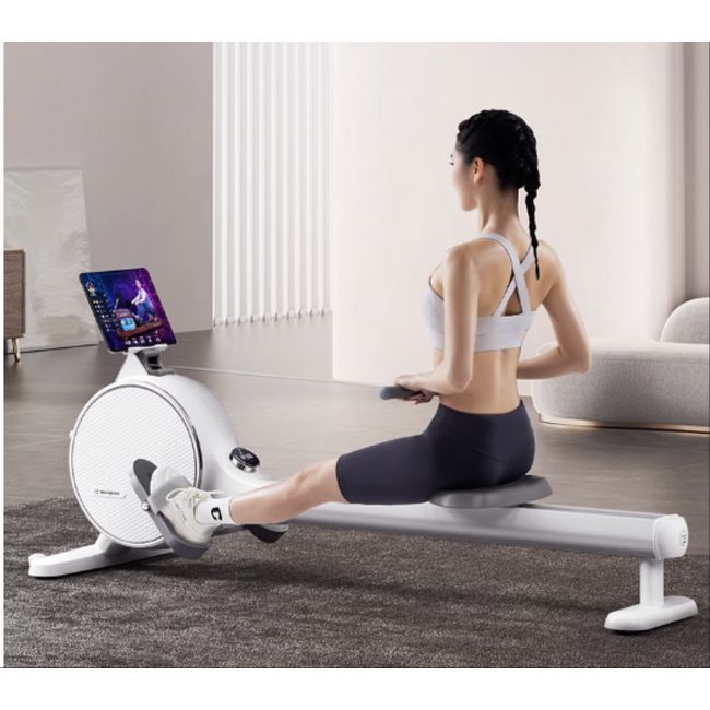 Westinghouse rowing machine home rowing machine crossfit fitness equipment, _white_silver_westinghouse_rowingmachine__