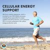Source Naturals Vegan True Vegan Force Multiple, Advanced Energy Formula for Vegans* - 180 Tablets