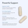 Advanced Synbiotic - Probiotic + Prebiotic - 14 Billion CFU Delayed Release P...