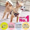 Border Pattern Sort Full Harness Lead (Crimson Red, Medium)