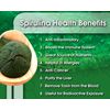 Detoxification Support Capsules - Spirulina 500mg - Klamath 1B