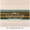 Sabu Staple Antibacterial Slim Chopsticks & Case 20 Mint 377235