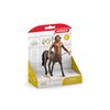 schleich 13986 Firenze, from Wizarding World - Figurine for Age 3+