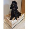 Reclaimed wooden wine box PET BED for small Cockapoo dogs & cats