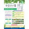 Safe Shampoo "Aroma Incense" Trial Use, 0.7 fl oz (20 ml)