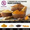 Turmeric Curcumin with Bioperine & Ginger 95% Standardized Curcuminoids 1950Mg -