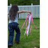 Rainbow Hand Kite Ribbon Runner Party Favor
