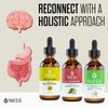 Lung-Gut-Brain Connection – 3 Organic 4oz Tinctures – Digestion & Cognition