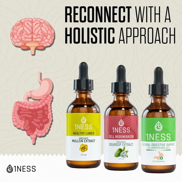 Lung-Gut-Brain Connection – 3 Organic 4oz Tinctures – Digestion & Cognition