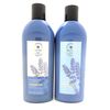 *SEALED* Bath & Body Works LAVENDER + VANILLA Shampoo & Conditioner Set 16 Oz Ea