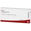 Hirnstamm Gl D5 Wala Ampullen, 10X1 ml AMP