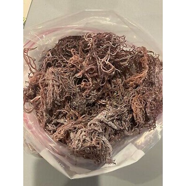 Purple Seamoss Wild craft Raw per poundLimited Availability