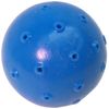 Hugs Pet Products Hydro Ball Pet Toy