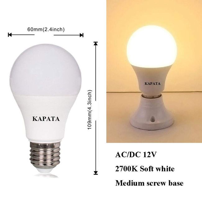 Screw in RV Lights, 12v DC and 120v AC