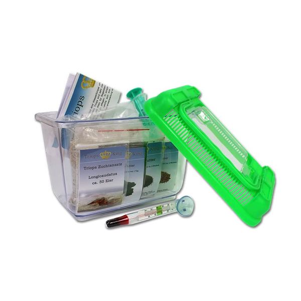 Triops King Urzeitkrebse Einsteiger Set II 50 Eier und einem grünen Deckel - Inkl. Futter, Anleitung, Sand, Thermometer, Triopseiern der Art Longicaudatus und vielem mehr