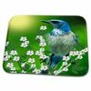 3dRose Bathroom Bath Rug Mat - Scrub Jay Designs 2016