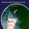 Muck Remover GP for Koi Ponds