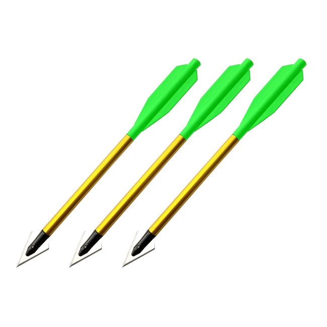 BOLT Crossbows Broadhead Hunting Bolts 3 Pack, 6.5"