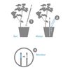 Sustee Aquameter, Moisture Sensor Refills, Bundle of 10 Core Inserts (5 Packs of 2 ) - Medium