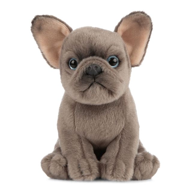 Living Nature French Bulldog Puppy, Realistic Soft Cuddly Dog Toy, Naturli Eco-Friendly Plush, 16cm