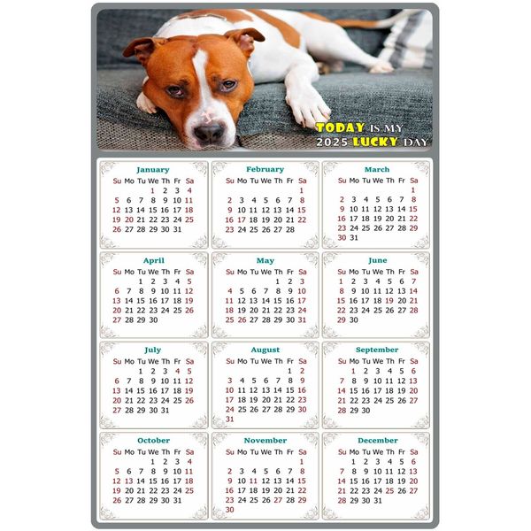 2025 Magnetic Calendar - Today is My Lucky Day - Dogs Themed 017 (8 x 5.25)